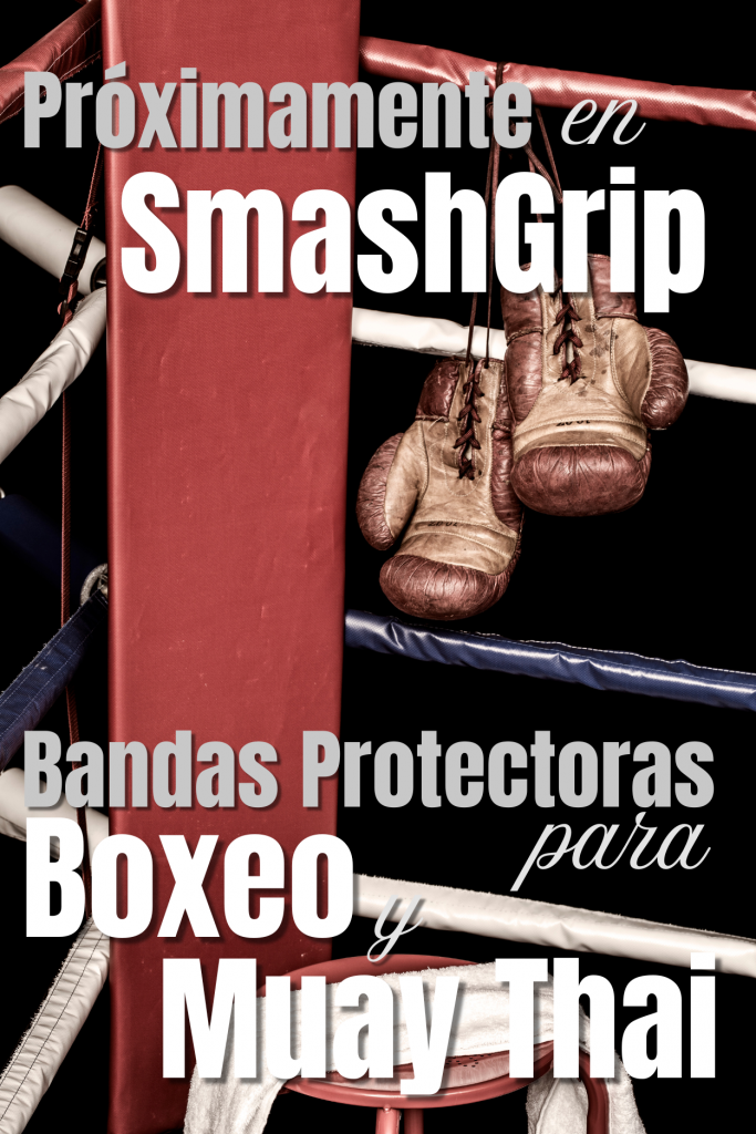 banner boxeo y muay thai