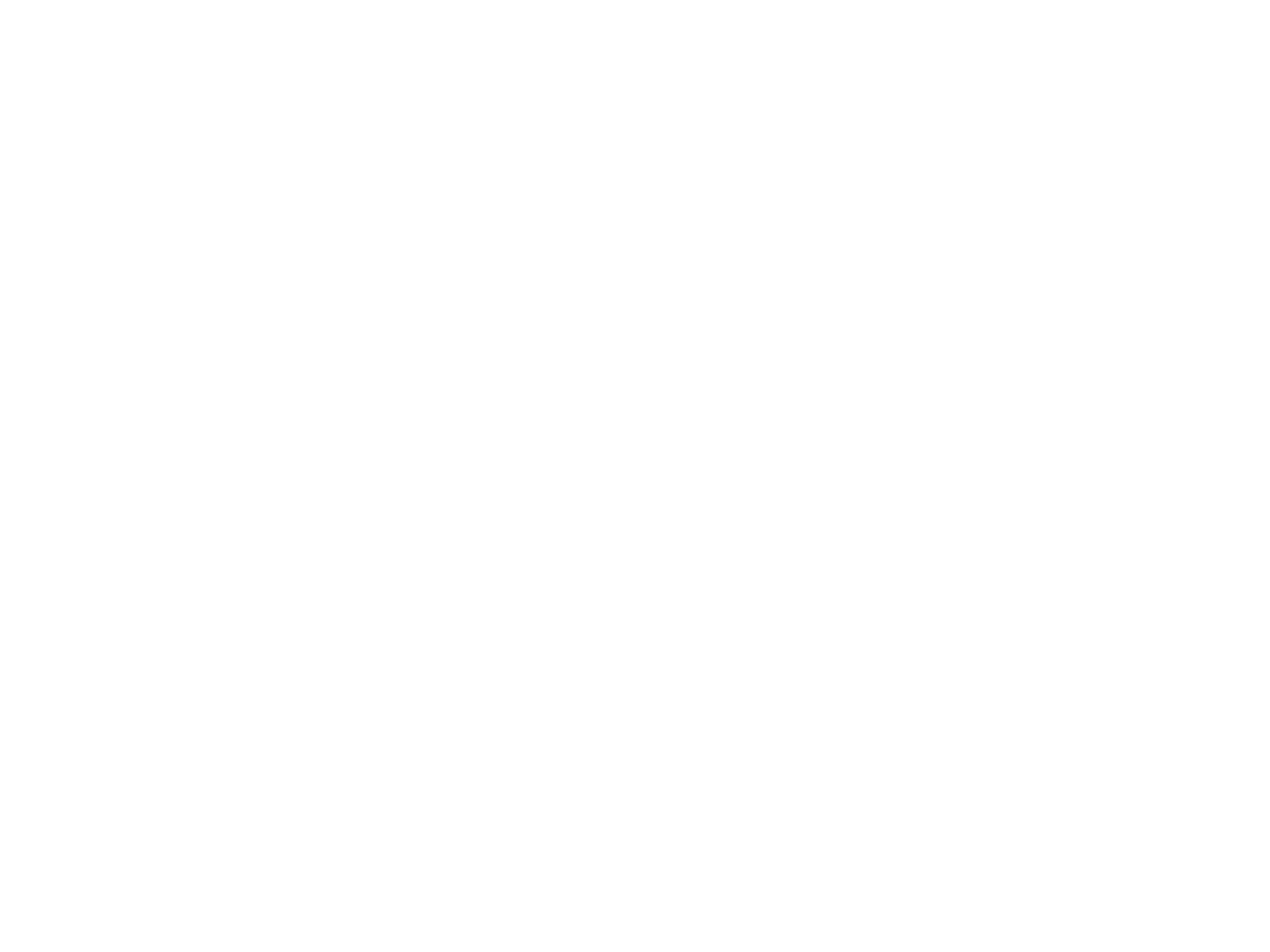 reseña 1
