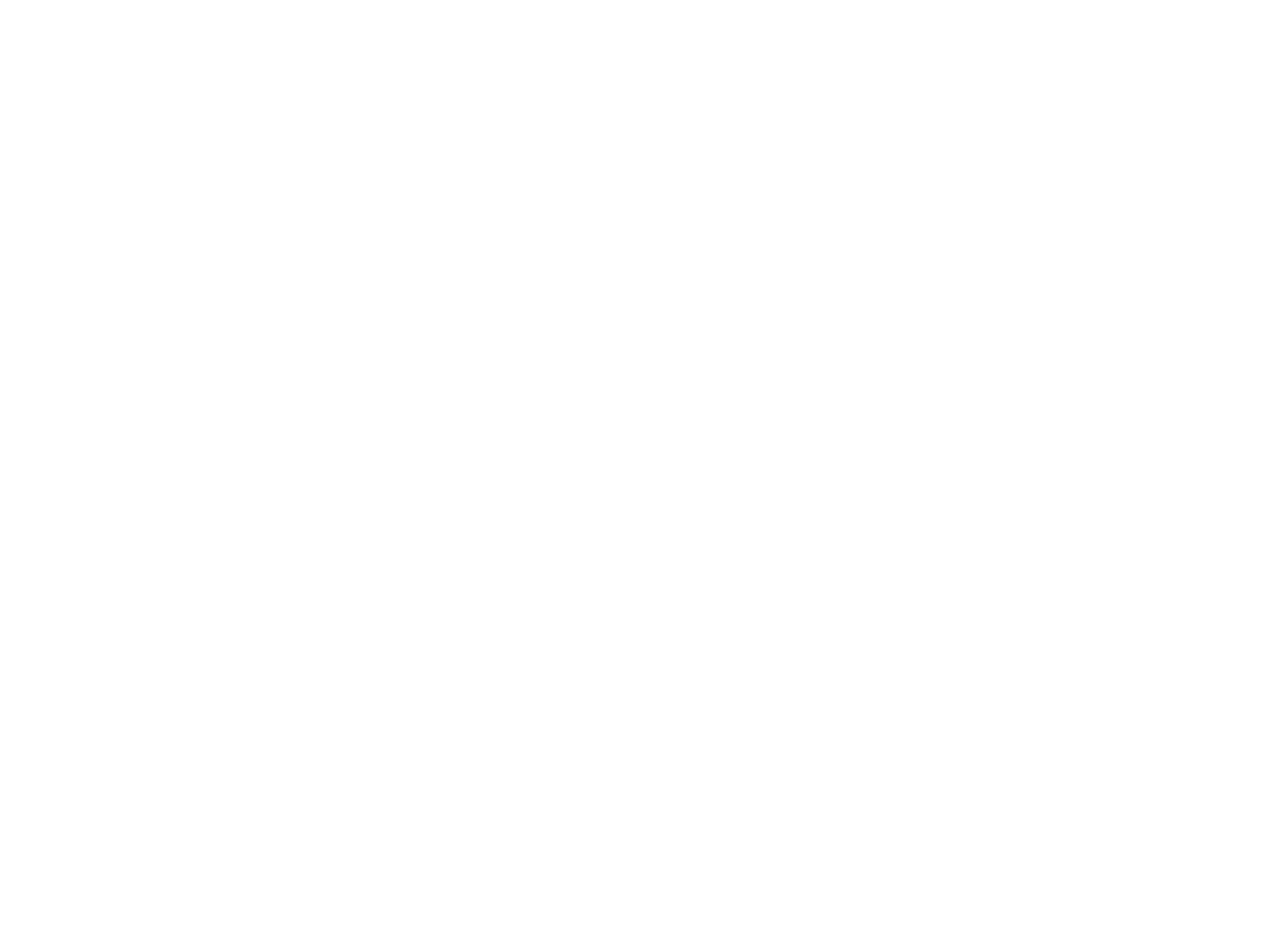 reseña 2