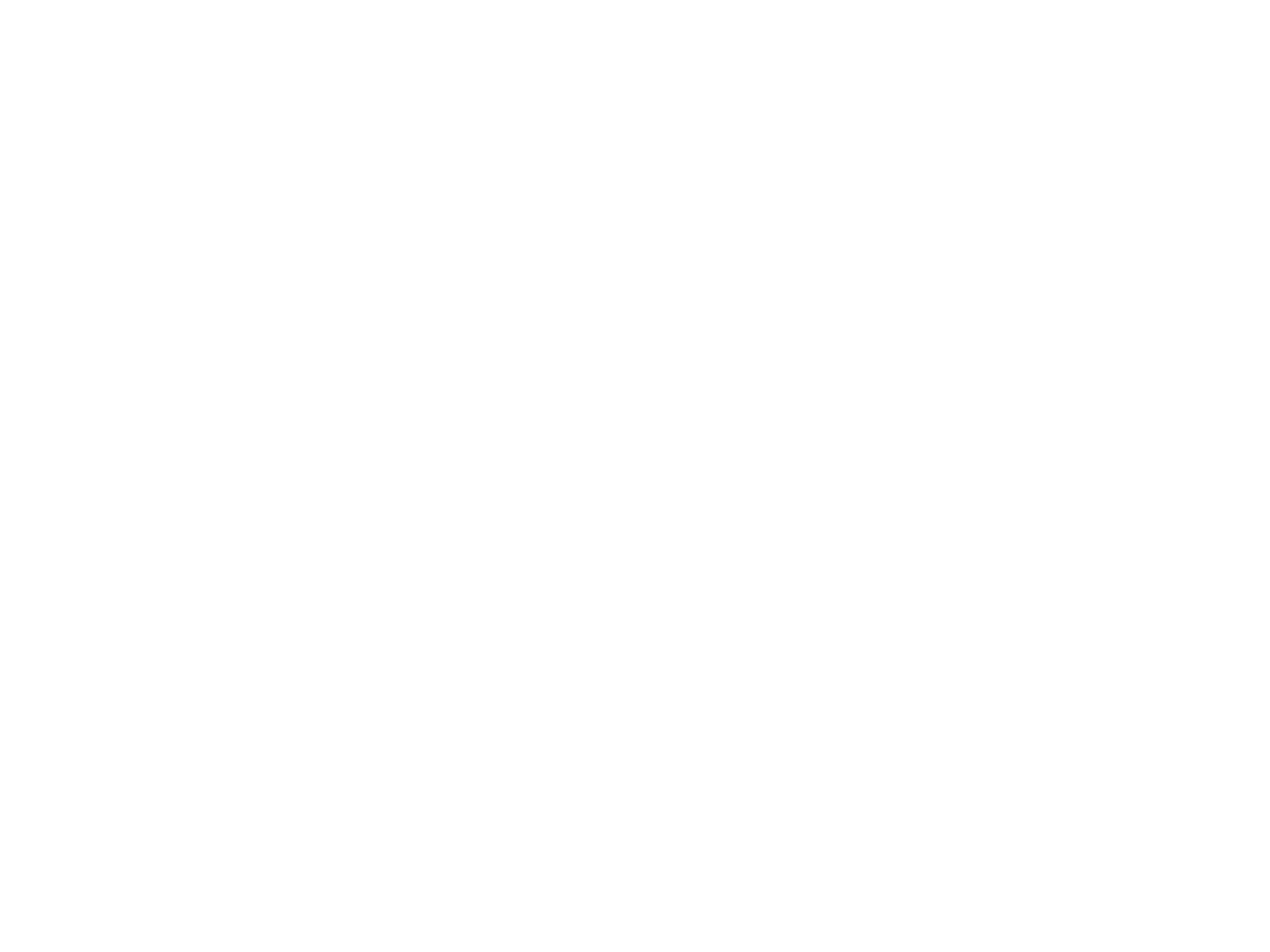 reseña 3